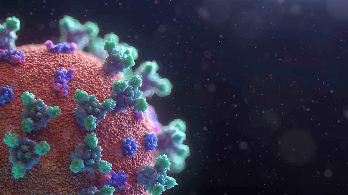 Precise Disease Modeling Animation